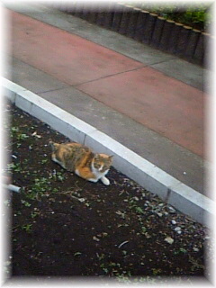 �y����z�o�X��肻���˂��[�I�I