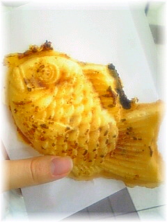 �y�����₫�z�₾��/��������