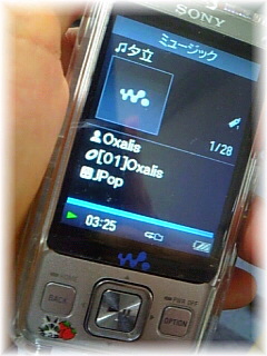 �y����z�������c