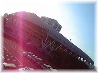 �y�e�j�v���z�����Ł[�I