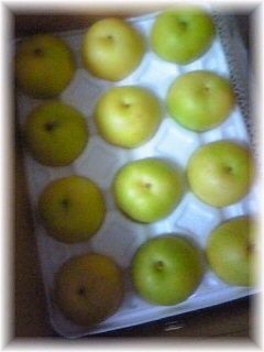 �y���H�z��\���I/����