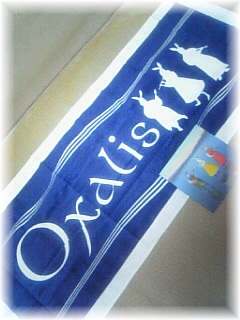 �y���y�zCD�Ɠ��T�^�I��/Oxalis