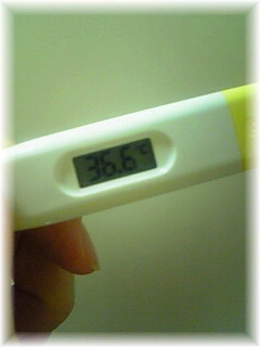 �y����z�̉�