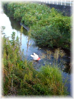 �y����z��(�P���P;